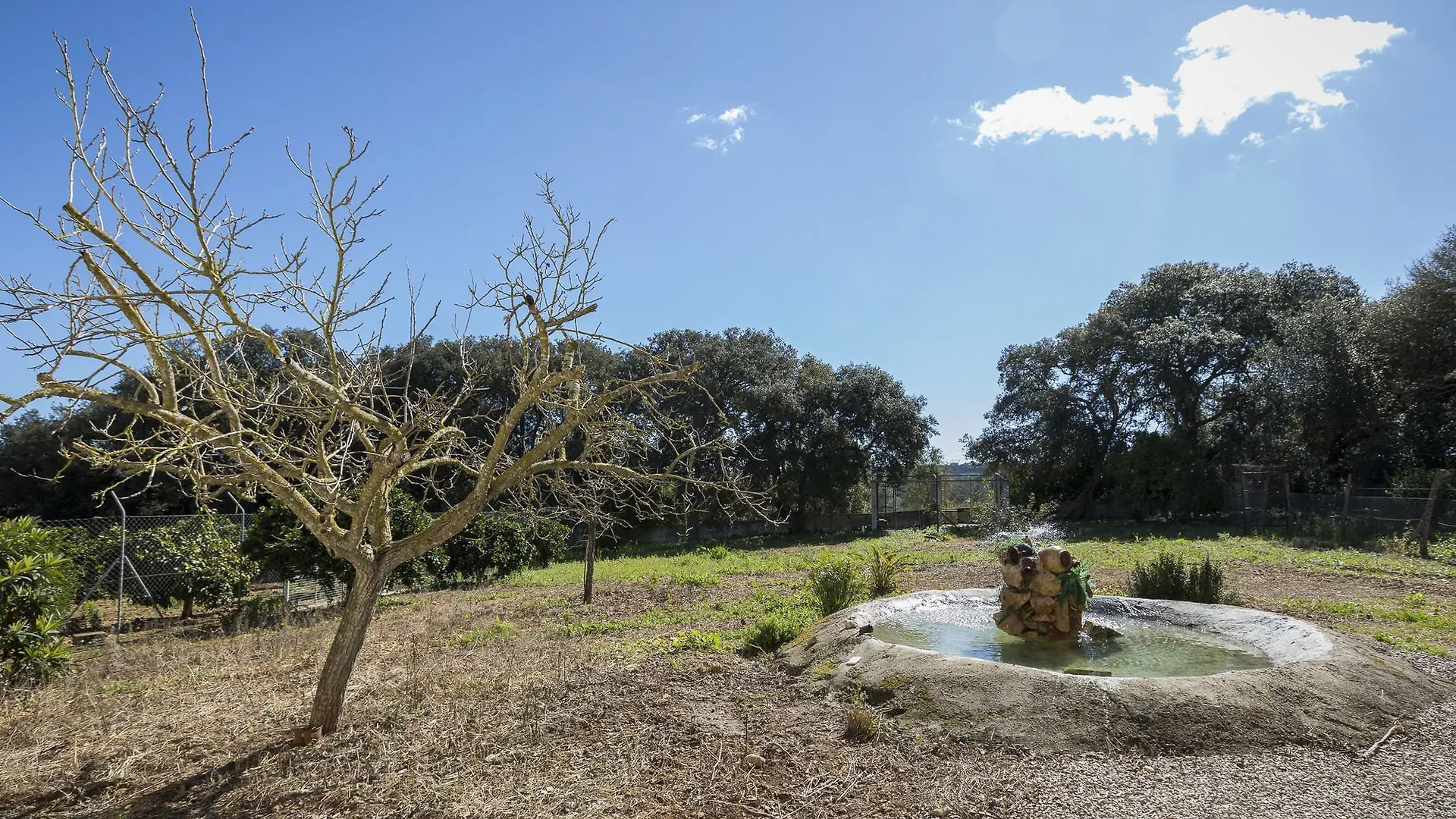 Villa Ca Na Flores Llubí