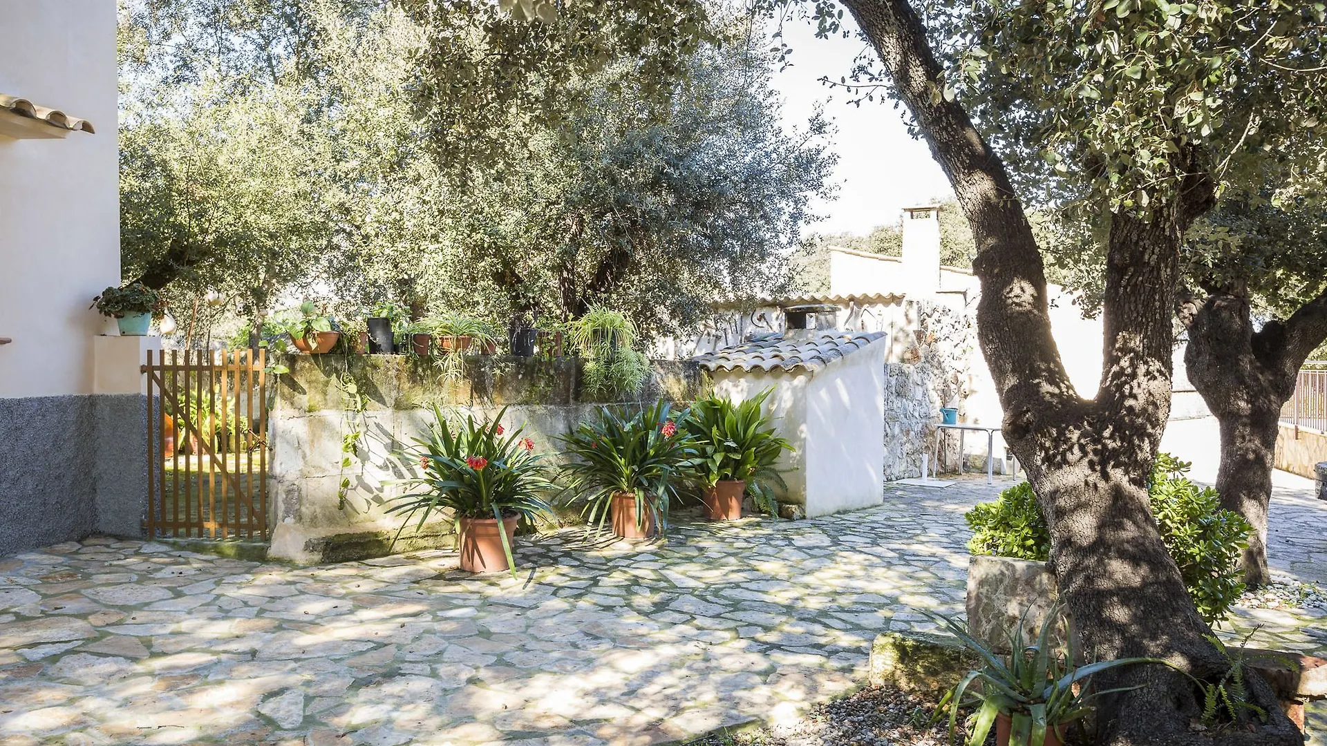 Villa Ca Na Flores Llubí